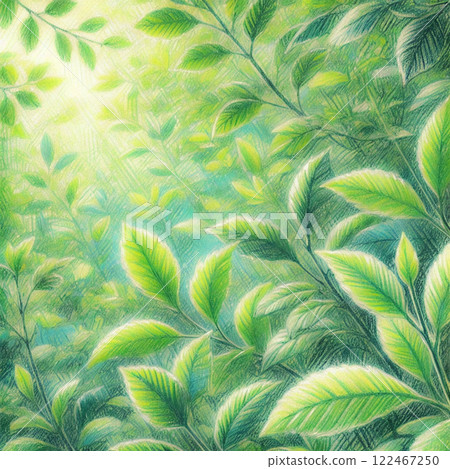 Fresh green leaves wrapped in light | A fantastic illustration that makes you feel the breath of nature 122467250