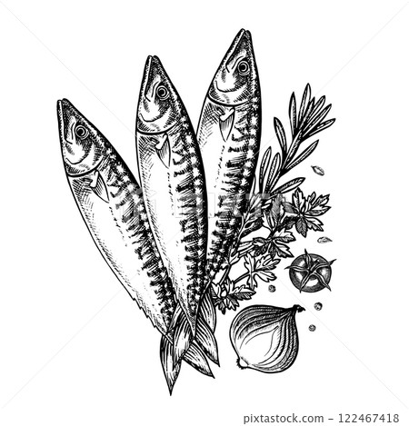 Mackerel with herbs and vegetables. Hand-drawn vector illustration. Black and white image of seafood. On a white background. For menus, recipe books, packages, labels, invitations. Mackerel with herbs and vegetables. Hand-drawn vector illustration. Black and white image of seafood. On a white background. For menus, recipe books, packages, labels, invitations. 122467418