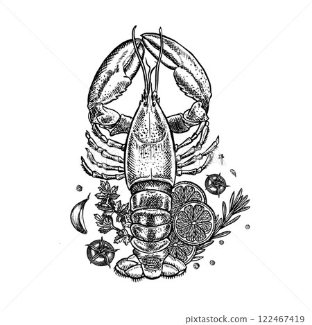 Lobster with lemon, herbs and vegetables. A hand-drawn vector graphic illustration. Black and white image of seafood. Separate from the background. Suitable for menus, recipe books, packages, labels. Lobster with lemon, herbs and vegetables. A hand-drawn vector graphic illustration. Black and white image of seafood. Separate from the background. Suitable for menus, recipe books, packages, labels. 122467419