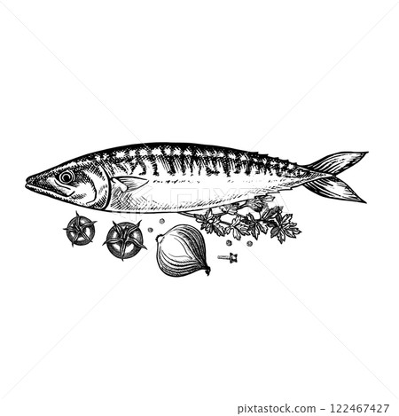 Mackerel with herbs and vegetables. A hand-drawn vector graphic illustration. Black and white image of seafood. Separate from the background. For menus, recipe books, packages, labels, invitations. Mackerel with herbs and vegetables. A hand-drawn vector graphic illustration. Black and white image of seafood. Separate from the background. For menus, recipe books, packages, labels, invitations. 122467427
