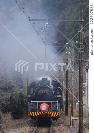 大井川鐵道C10型蒸汽機車(舊羅佐工業型)裝飾華麗悠閒行駛_2025年1月12日拍攝 大井川鐵道C10型蒸汽機車(舊羅佐工業型)裝飾華麗悠閒行駛_2025年1月12日拍攝 122467688