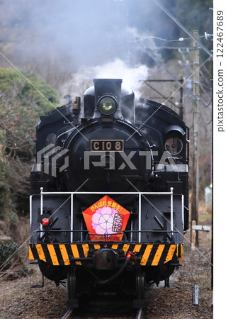 大井川鐵道C10型蒸汽機車(舊羅佐工業型)裝飾華麗悠閒行駛_2025年1月12日拍攝 大井川鐵道C10型蒸汽機車(舊羅佐工業型)裝飾華麗悠閒行駛_2025年1月12日拍攝 122467689