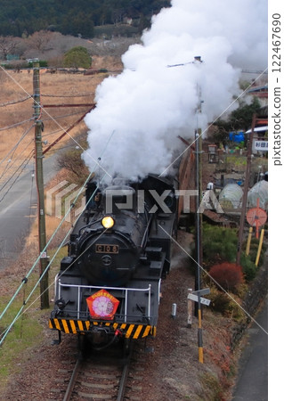 Oigawa Railway C10 steam locomotive (former Rasa Kogyo specification) running leisurely with special decorations_Photo taken on January 12, 2025 Oigawa Railway C10 steam locomotive (former Rasa Kogyo specification) running leisurely with special decorations_Photo taken on January 12, 2025 122467690