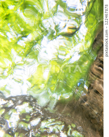 Fresh greenery, clear water, and eco-friendly images seen from underwater (Oyamakiyazawa mountain stream) 122467878