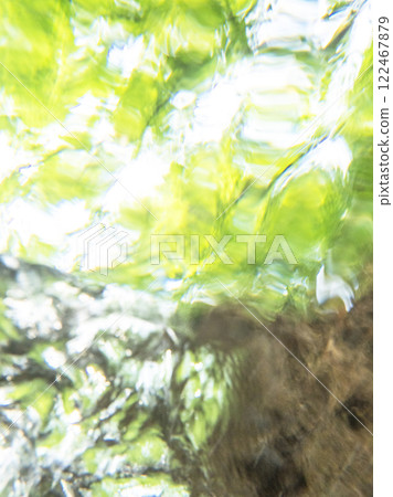 從水下看到的新綠、清澈的海水和環保影像（大山木澤溪流） 122467879