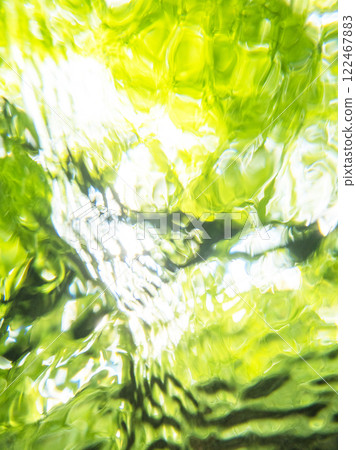 從水下看到的新綠、清澈的海水和環保影像（大山木澤溪流） 122467883