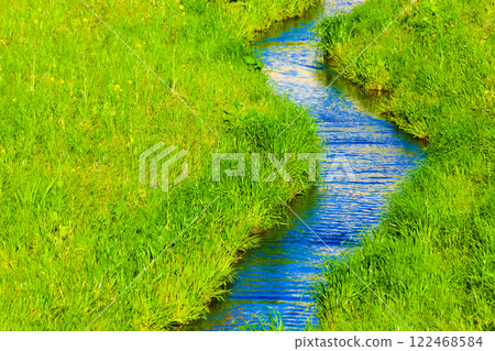 Green grassland and stream 122468584