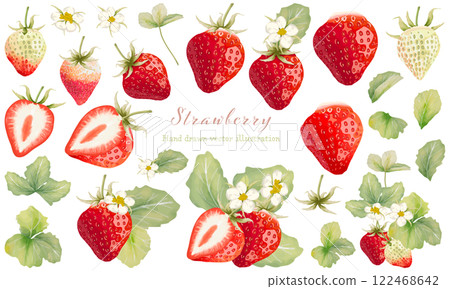 Watercolor strawberry material set 122468642