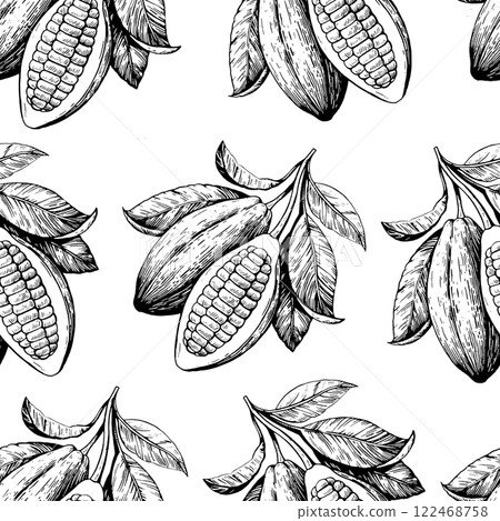 Seamless pattern with cocoa beans. Hand-drawn monochrome  illustration. 122468758