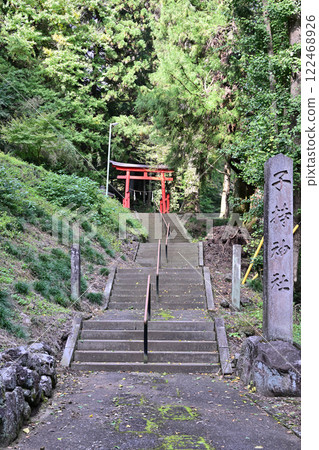 Torii gate of Komochi Shrine, quietly located in the mountains, Shibukawa City Torii gate of Komochi Shrine, quietly located in the mountains, Shibukawa City 122468926