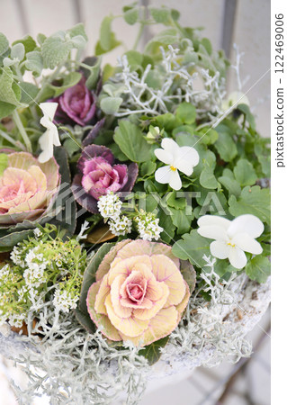 Winter planting and gardening 122469006