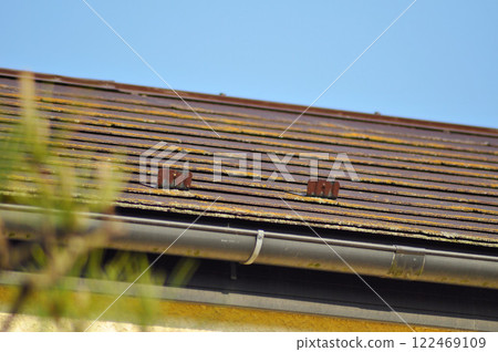Deteriorated roof 122469109