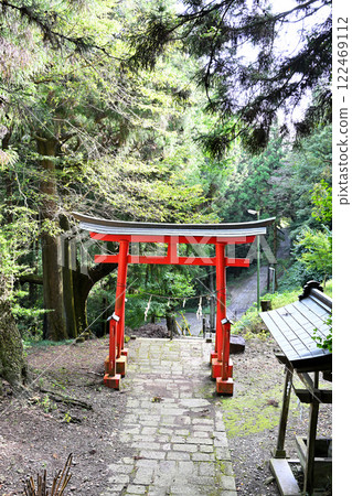 Komochi Shrine, quietly located in the mountains, approach to the shrine, torii gate, Shibukawa City 122469112