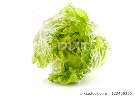 Freshly picked Chinese cabbage on a white background Freshly picked Chinese cabbage on a white background 122469330
