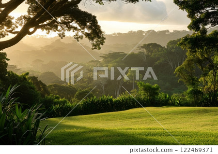 Sunrise Mist in Lush Green Hills 122469371
