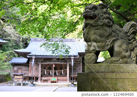 澀川市的金茂神社坐落在群山之中,神社內有獅子守護。 澀川市的金茂神社坐落在群山之中,神社內有獅子守護。 122469480