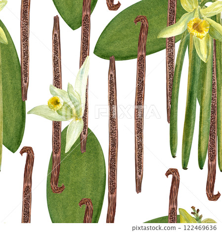 Vanilla plant flowers, leaves and beans seamless pattern in watercolor isolated on white background. High quality hand drawn design perfect for spice box, cafe menu, desert packaging, wrapping paper 122469636
