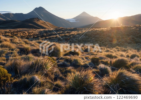 Golden Desert Landscape with Sagebrush and Hills 122469690