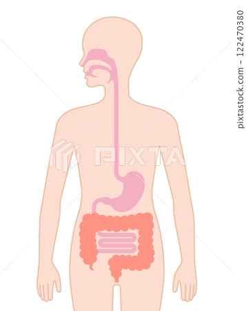 Human lungs icon 122470380