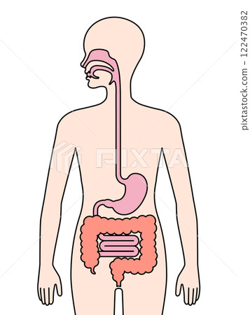 Human lungs icon 122470382