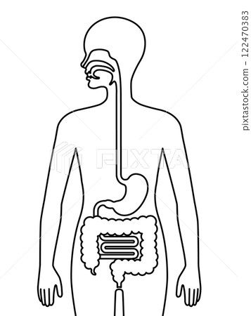 Human lungs icon 122470383