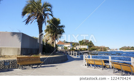 三浦半島橫須賀市觀音崎公園的冬天 三浦半島橫須賀市觀音崎公園的冬天 122470424
