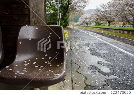 Cherry blossoms at a local station, moistened by rain: Tsukida Station on the Kishin Line, Maniwa City, Okayama Prefecture 122470630
