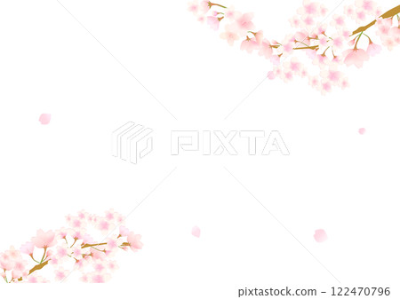 Cherry blossom transparent frame 122470796