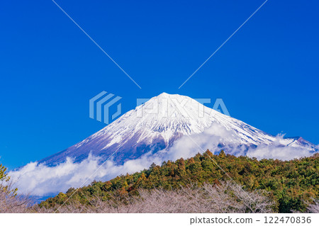 [靜岡縣] 從岩本山眺望新雪富士山 122470836