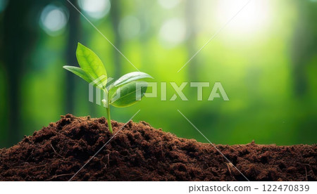 AI 圖片：從土壤中冒出的新芽 122470839