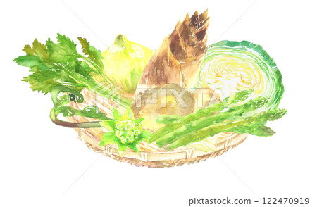 各種春季蔬菜的水彩插圖 122470919