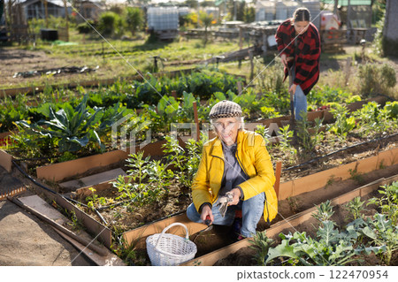 Mature woman using chopper to harvest weeds on field 122470954