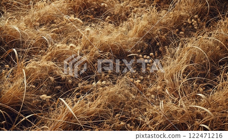 A landscape of dry land with withered grass A landscape of dry land with withered grass 122471216