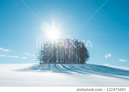 Biei, Hokkaido -Mild Seven Hill in Winter- Biei, Hokkaido -Mild Seven Hill in Winter- 122471605