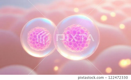 幹細胞在體內自我複製和增殖的3D圖示卵巢和生殖幹細胞醫學材料 122472330