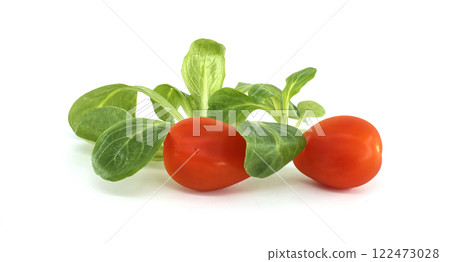 Fresh Tomatoes and Corn Salad Isolated on White Background 122473028