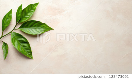 Fresh green leaves on light pink background create serene atmosphere Fresh green leaves on light pink background create serene atmosphere 122473091
