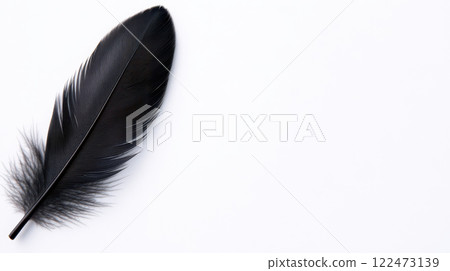 perfectly centered black feather lying flat on white background 122473139