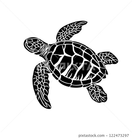 Vector of sea turtle silhouette on white... - Stock Illustration ...