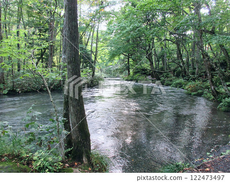 A stroll through the Oirase Gorge that will make you want to take a deep breath 122473497