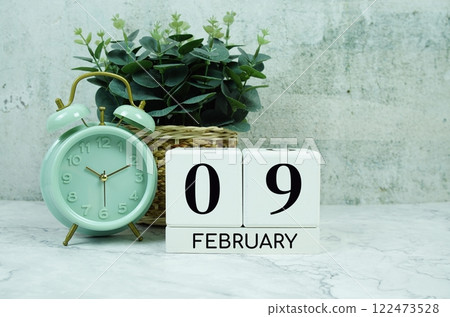 Wooden Calendar Showing the Date of February 9th. Day 9 of February month 122473528