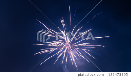 春節煙火綻放夜空 122473595