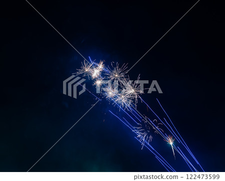 春節煙火綻放夜空 122473599