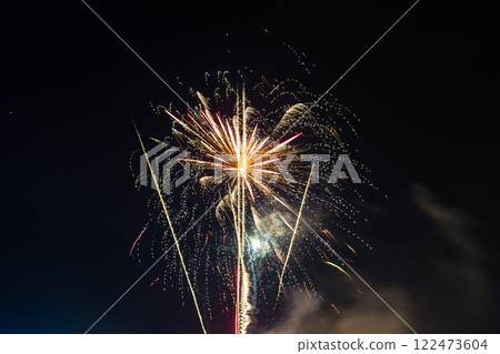 春節煙火綻放夜空 122473604