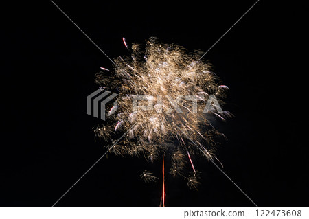 春節煙火綻放夜空 122473608