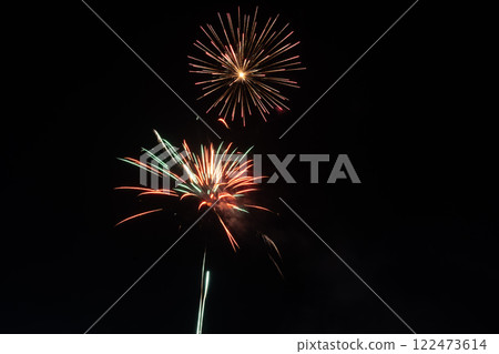 Spring Festival fireworks bloom in the night sky 122473614