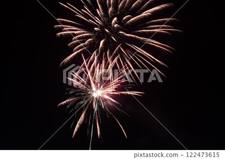 春節煙火綻放夜空 122473615