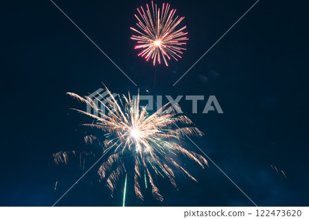 春節煙火綻放夜空 122473620