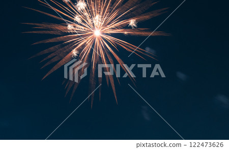 Spring Festival fireworks bloom in the night sky 122473626