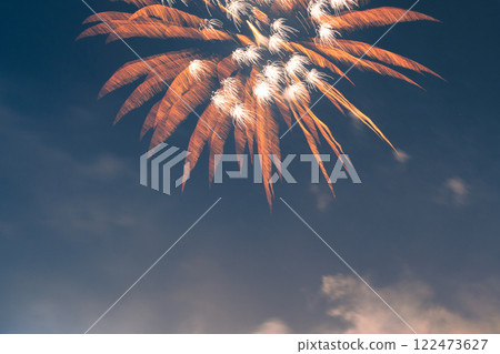 Spring Festival fireworks bloom in the night sky 122473627
